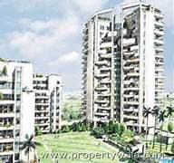 Ultra Luxury Apartment For Sale In IVY (ITC) In Sushant Lok 1 Gurgaon 