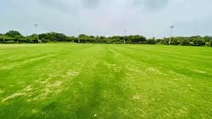 14 Marla ( 342 Sq Yd ) Old Built-up House For Sale in Sector 40 Gurgaon 