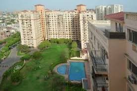 Apartment For Sale in Oakwood Estate DLF Phase - 2 Gurgaon  