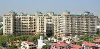 Apartment For Sale in Ridgewood estate DLF Phase 4 Gurgaon