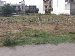 204 Sq Yd Plot For Sale in Sector 43 Gurgaon 
