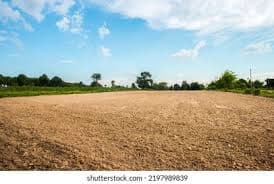 10 Marla ( 263 Sq Yd ) Plot For Sale in Sector 55 Gurgaon