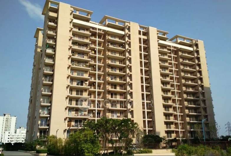 Apartment For Sale in Tulip Purple Sector 69 Gurgaon 